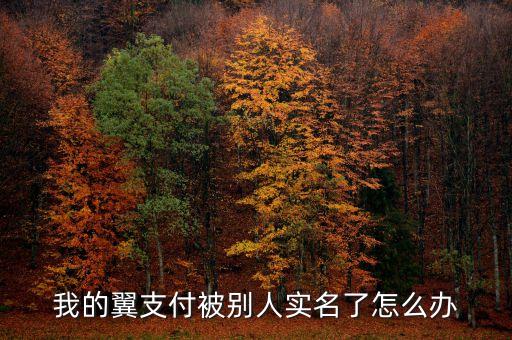 天翼達投資咨詢有限公司,北京聯動天翼投資有限公司