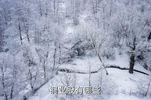 銅業股有哪些