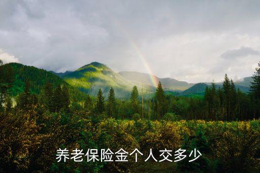 養老保險金個人交多少