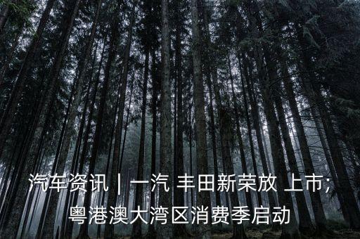 汽車資訊∣一汽 豐田新榮放 上市;粵港澳大灣區消費季啟動