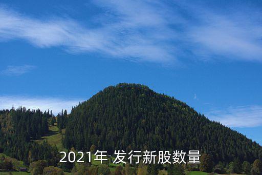 2021年 發行新股數量