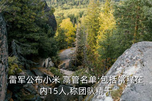 聯想集團手機高管