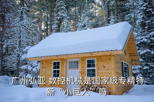  廣州弘亞 數控機械是國家級專精特新“小巨人”嗎