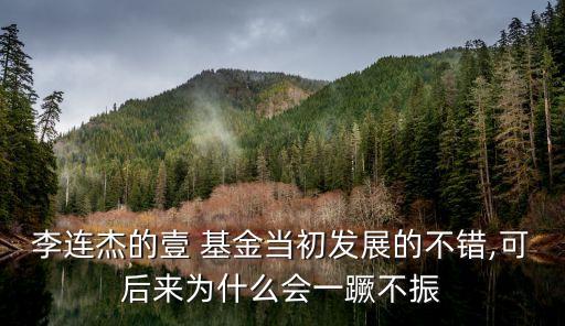 李連杰的壹 基金當初發展的不錯,可后來為什么會一蹶不振