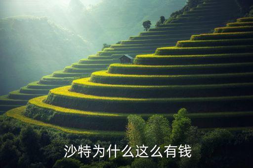 中國鐵建沙特項目獲賠償,項目管理中國鐵建沙特項目