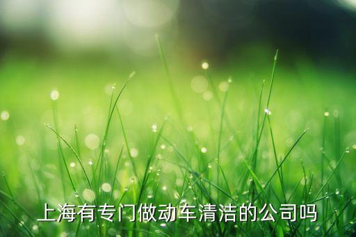 上海金凈衛生保潔服務有限公司