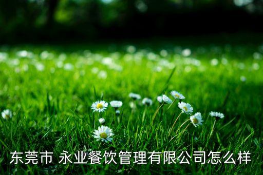 永業集團法人,內蒙古永業集團現狀