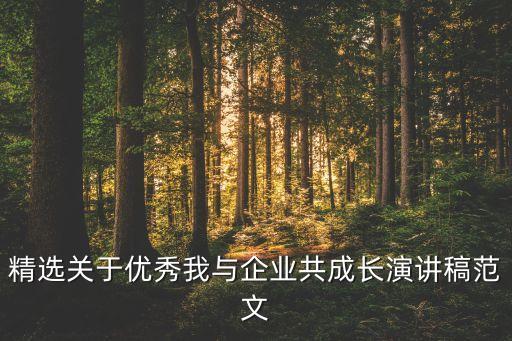 精選關于優秀我與企業共成長演講稿范文