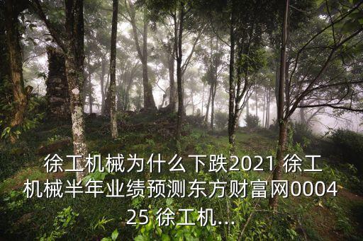  徐工機械為什么下跌2021 徐工機械半年業績預測東方財富網000425 徐工機...