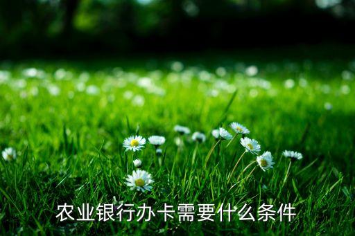 農業銀行辦卡需要什么條件