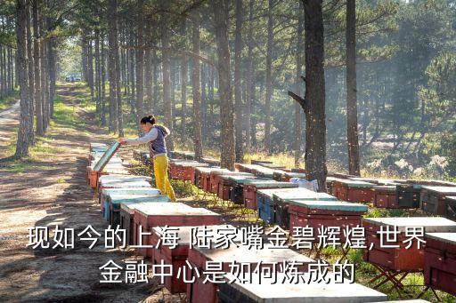 現如今的上海 陸家嘴金碧輝煌,世界金融中心是如何煉成的
