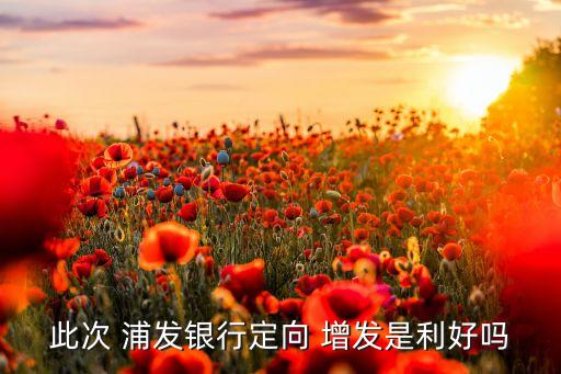 2003年浦發銀行增發