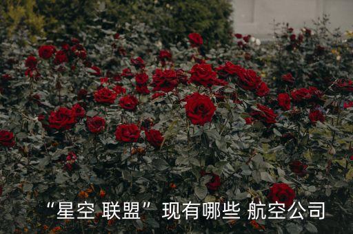 中國航空屬于哪個聯盟,奧地利航空屬于哪個聯盟