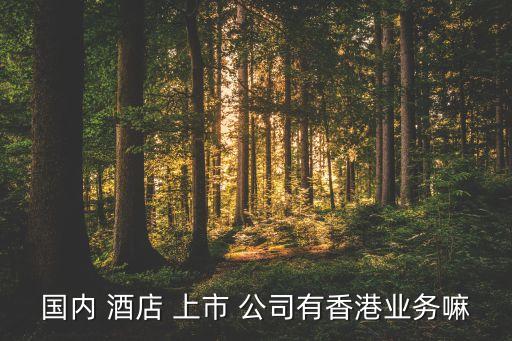 國內 酒店 上市 公司有香港業務嘛