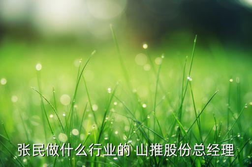 張民做什么行業的 山推股份總經理
