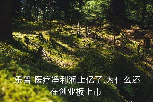  樂普 醫療凈利潤上億了,為什么還在創業板上市