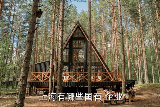 上海中小營企業多嗎,中小名營企業有哪些