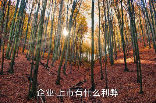 企業 上市有什么利弊