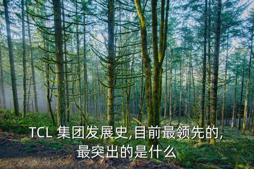 TCL 集團發展史,目前最領先的,最突出的是什么
