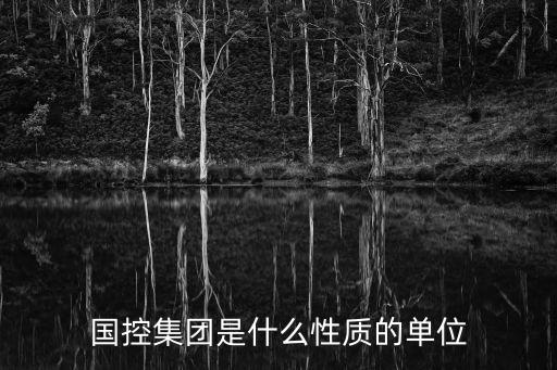 國控集團是什么性質的單位