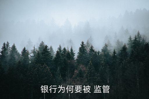  銀行為何要被 監管