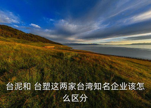 臺泥和 臺塑這兩家臺灣知名企業該怎么區分
