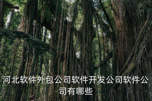 河北軟件外包公司軟件開發公司軟件公司有哪些