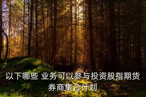 以下哪些 業務可以參與投資股指期貨券商集合計劃