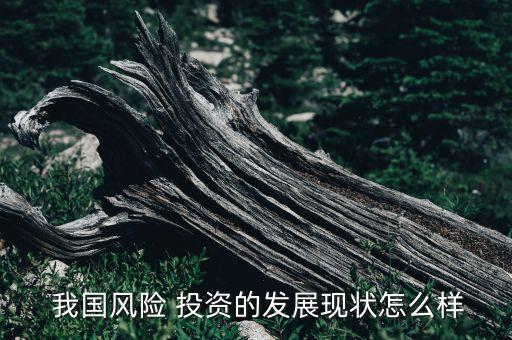  我國風險 投資的發展現狀怎么樣