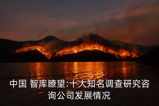 中國 智庫瞭望:十大知名調查研究咨詢公司發展情況