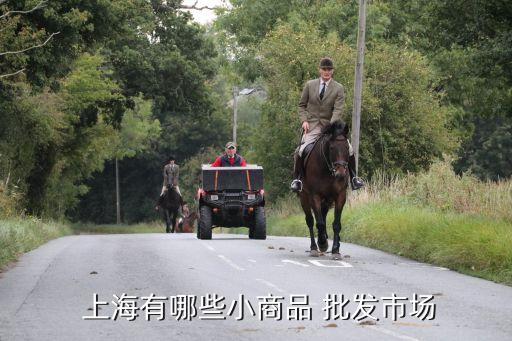 上海自貿區有批發嗎,上海臨港自貿區