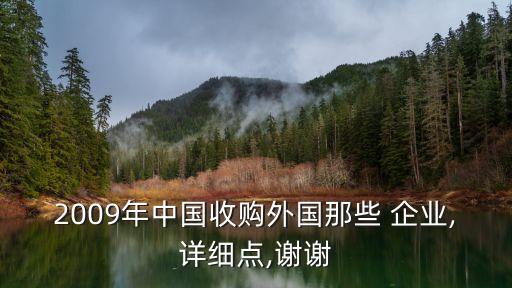 2009年中國收購外國那些 企業,詳細點,謝謝