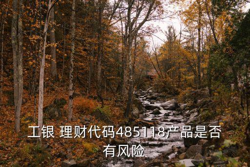 工銀 理財代碼485118產品是否有風險