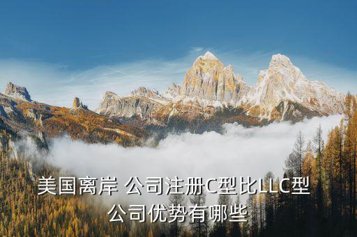 美國離岸 公司注冊C型比LLC型 公司優勢有哪些