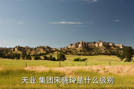  天業 集團宋曉玲是什么級別