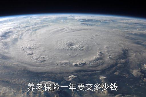 養老保險一年要交多少錢