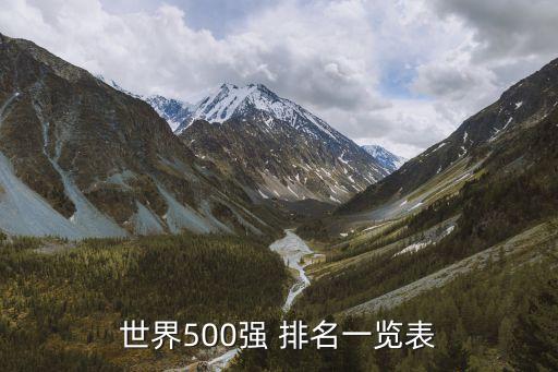 美國商業公司排名,美國醫藥商業公司排名