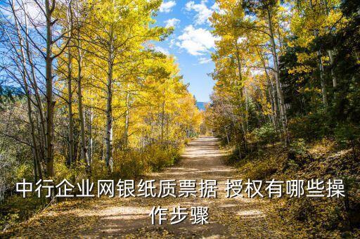 中行企業網銀紙質票據 授權有哪些操作步驟