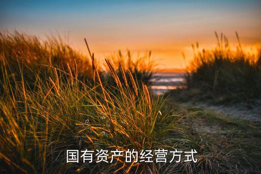  國有資產的經營方式