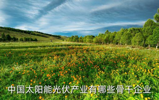 上海申能環保,申能環保有限公司
