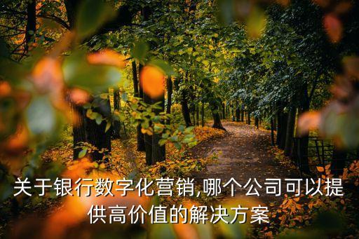 關于銀行數字化營銷,哪個公司可以提供高價值的解決方案