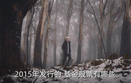 2015年發行的 基金股票有哪些