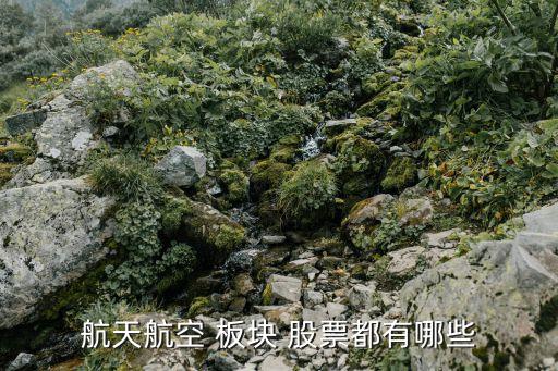 大飛機板塊股票,國產大飛機龍頭股票