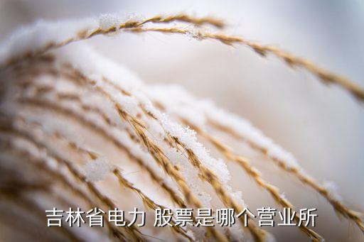 吉林省電力 股票是哪個營業所