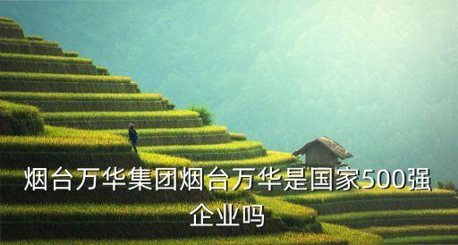 煙臺萬華集團煙臺萬華是國家500強企業嗎