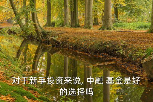 中融貨幣基金怎么樣,中融產業升級混合基金怎么樣