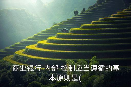  商業銀行 內部 控制應當遵循的基本原則是(