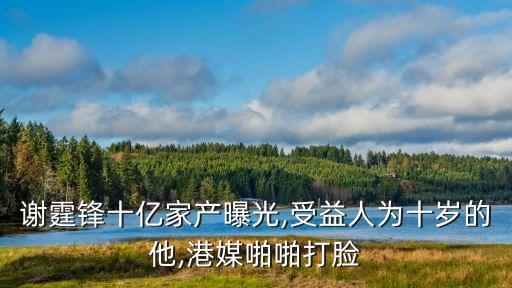 謝霆鋒十億家產曝光,受益人為十歲的他,港媒啪啪打臉