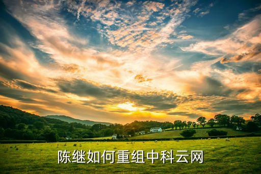 陳繼如何重組中科云網