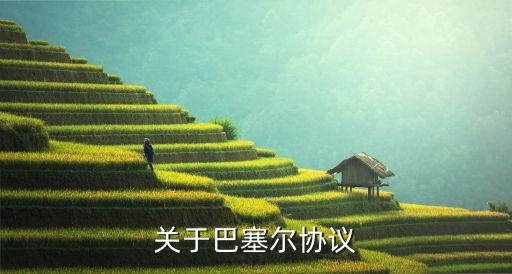 關于巴塞爾協議